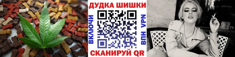 hydra зеркало  Королёв  Cannafood марихуана 