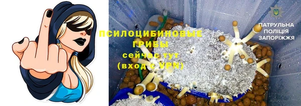 ПСИЛОЦИБИНОВЫЕ ГРИБЫ Володарск